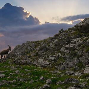 Zoomvision_trekking mym