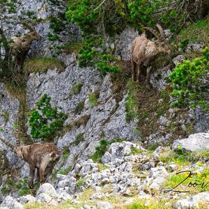 Zoomvision_trekking mym
