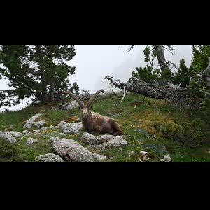 Zoomvision_trekking mym