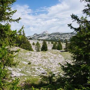 Zoomvision_trekking mym