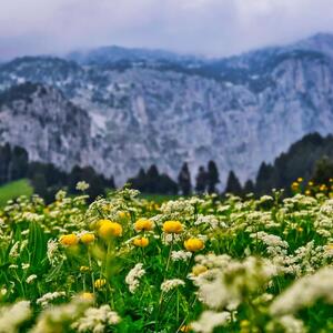 Zoomvision_trekking mym