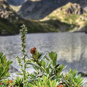 Zoomvision_trekking mym