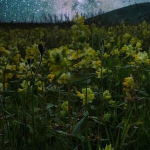 Zoomvision_trekking mym