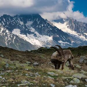 Zoomvision_trekking mym