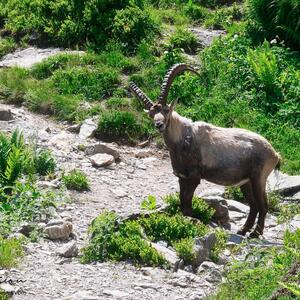 Zoomvision_trekking mym