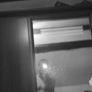 _vvs_ mym