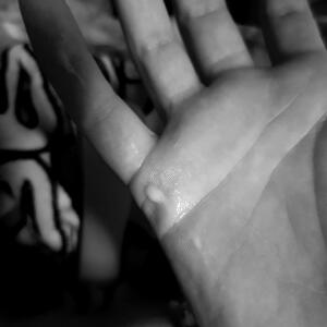 bellus_podiias mym